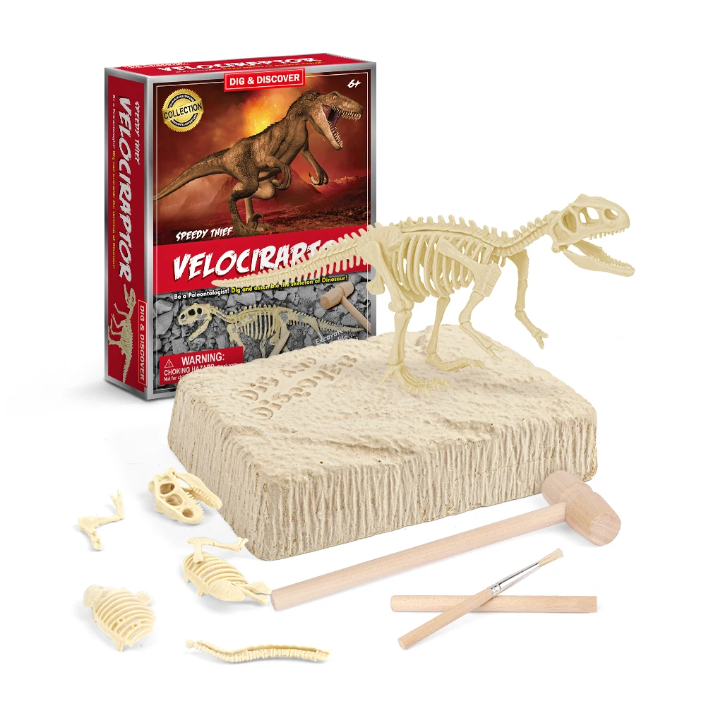 educational kid toy intelligence development ancient archological dig set evelociraptor dig kit dig dinosaur skeleton toy