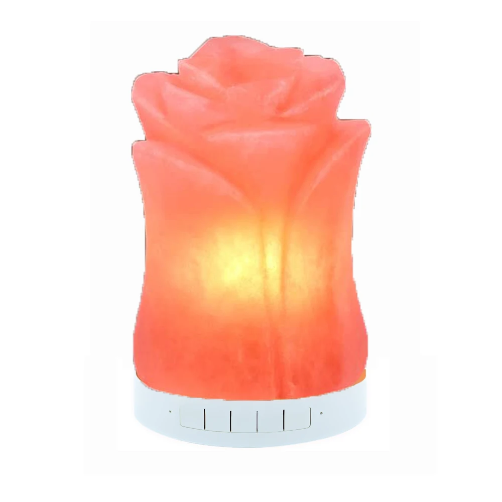 TIANHUA Wholesale Dimmer Switch 15w Bulb Wooden Base Decoration Natural Crystal Rock Stone Pink Himalayan Salt Lamps