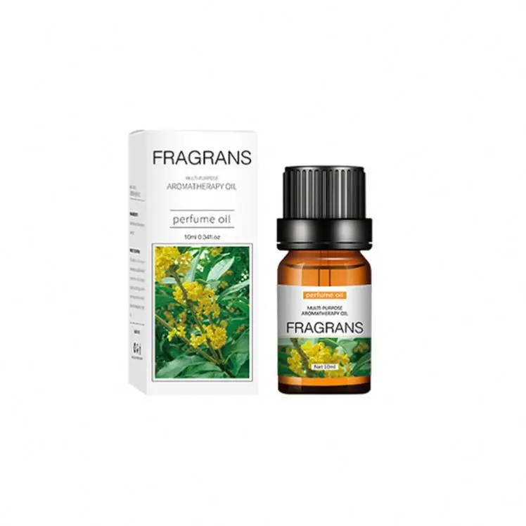 Best Quality China Manufacturer Essential Oil Luxury Perfume Bottle Essential Oil Perfume