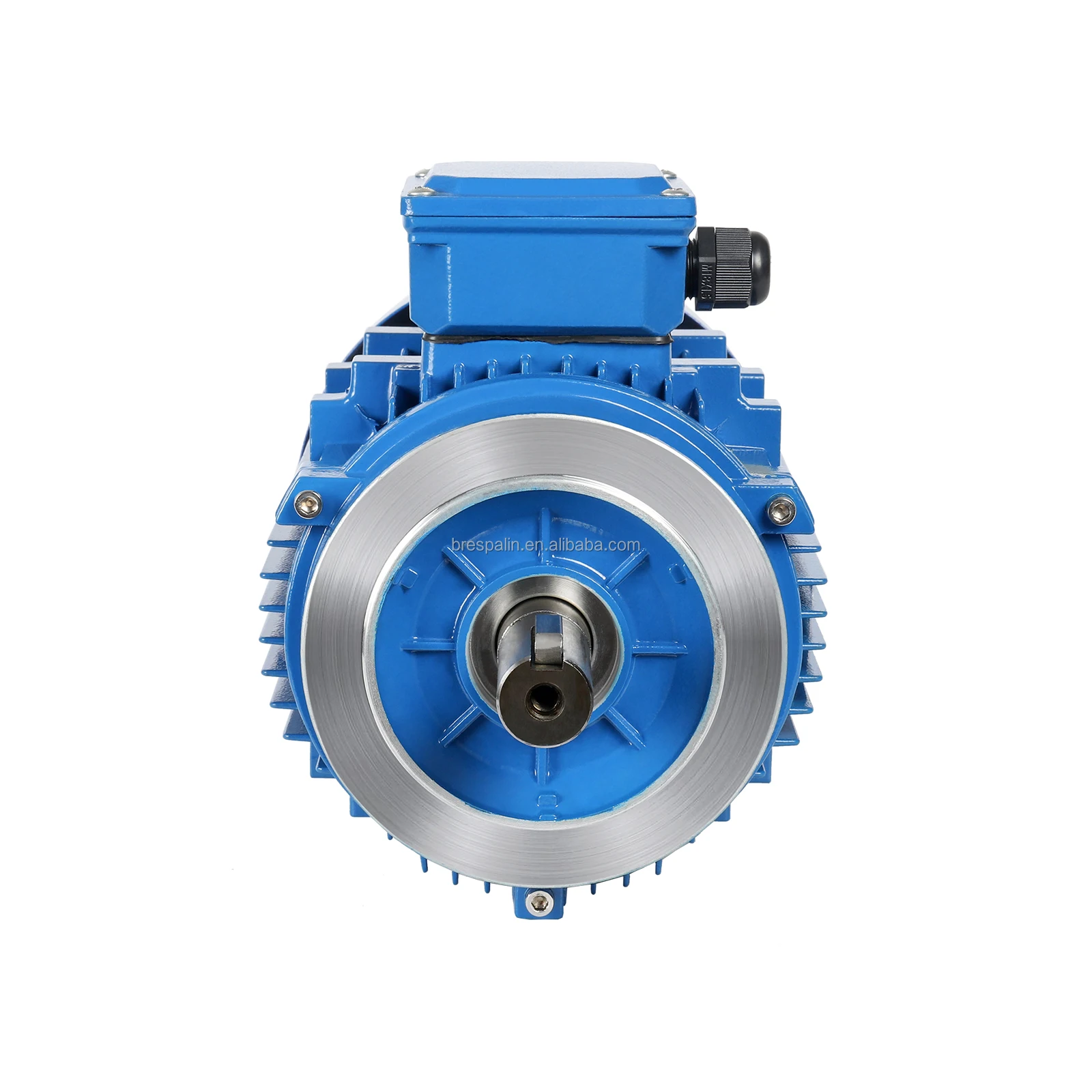 Cast Iron Totally Enclosed Three-Phase Induction Motor Induction AC Electric Motor IP44 IP55