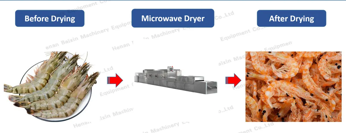 Microwave Drying Food BSF Larvae Production Process Machine Mealworm Shrimp Sea Cucumber Meat Dryer Equipment