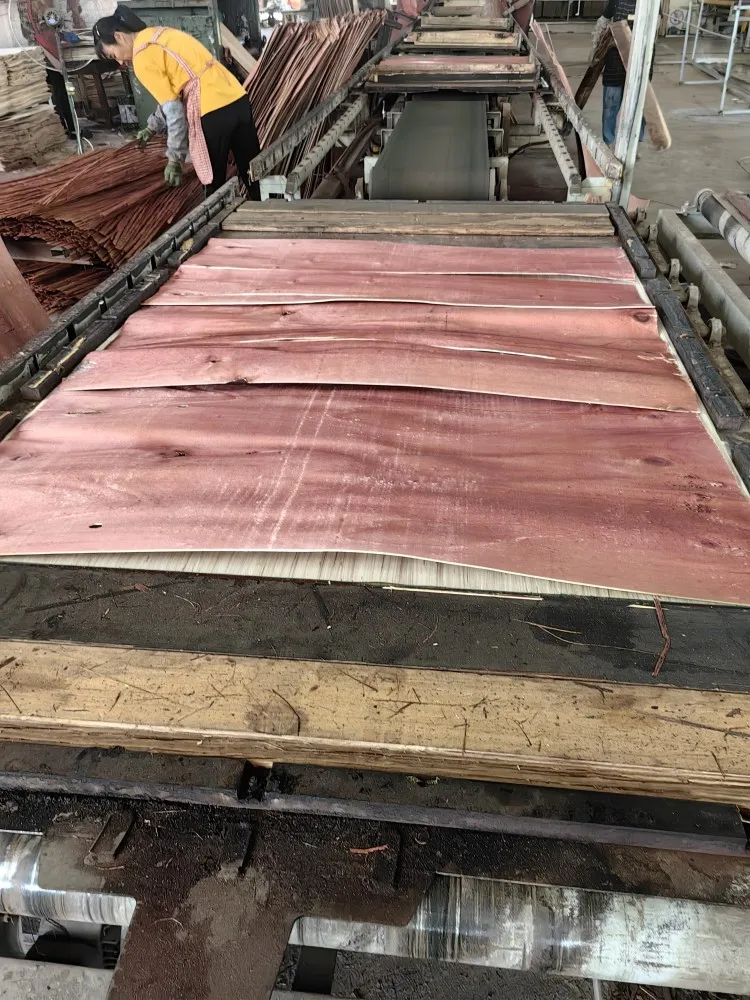 Customized Woodworking Container Floor Hot Press Machine