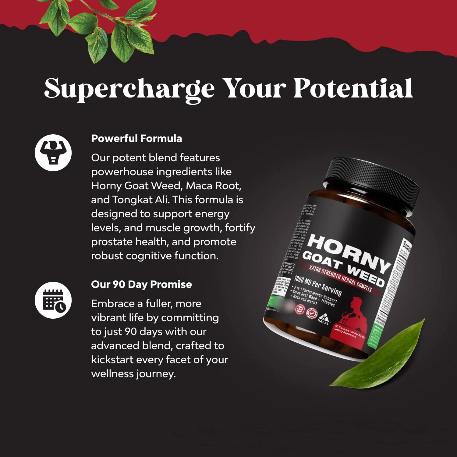 OEM Custom Label Horny Goat Weed Capsules With Maca Male Enhancing Supplement Maca Capsules Herbal Enhancement