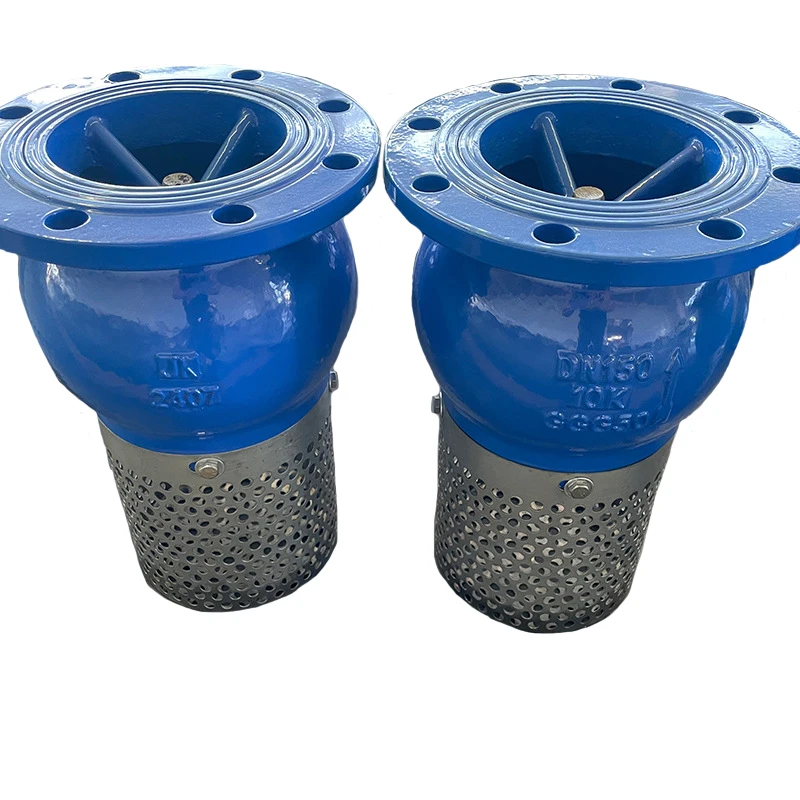 Wholesale High Quality Industrial 2 1/2 Inch Ductile Iron Flanged Foot Valve With Filter