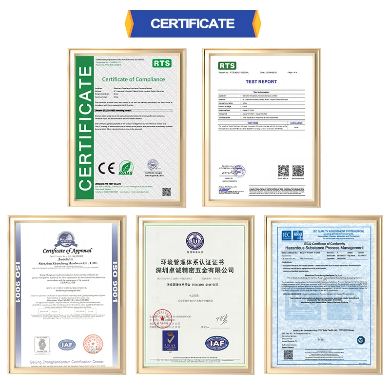 Custom Special Wear-Resisting Wabbler Flange Half Thread Stainless Steel Cap Low socket Hex Allen Head Step shoulder Screw Bolt