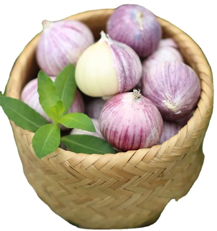 
garlic price in China 