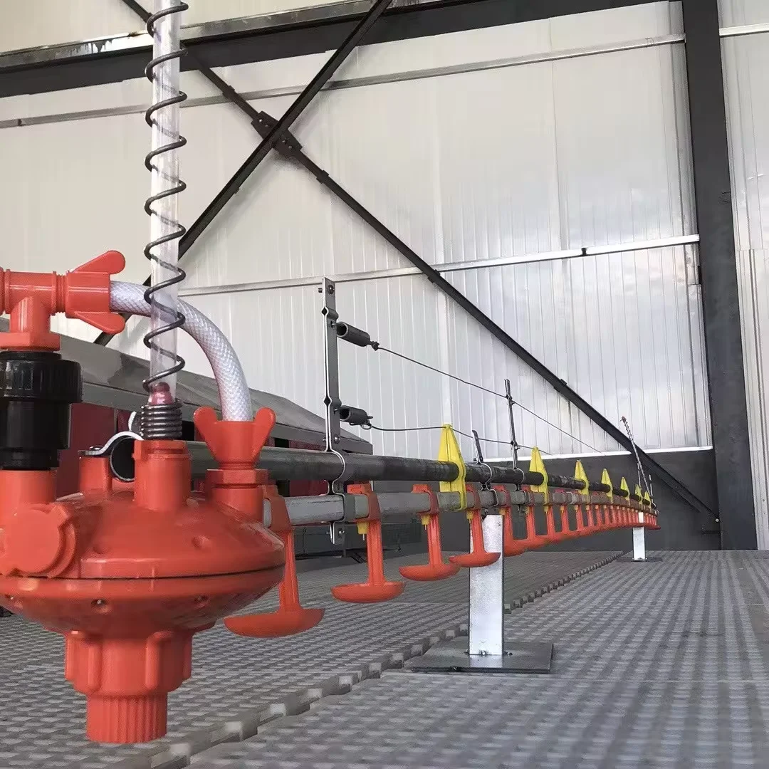 yyc Poultry House automatic Chicken Drinking Line System For Breeding Chicken Broiler Duck Turkey Quail Layer