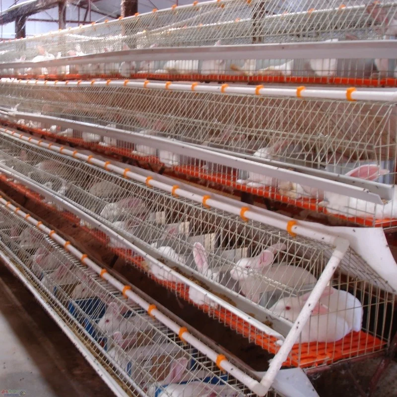 Оцинкованная железная проволока сварная клетка для кролика экологически безопасная (ISO9001)