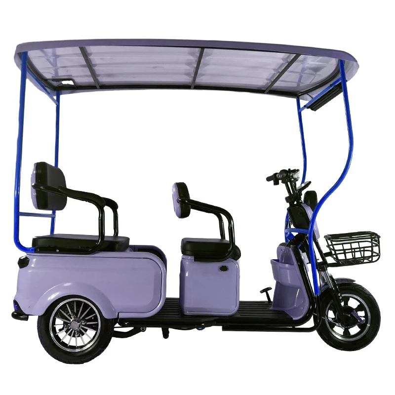 600W Solar Tricycle 48V 60V Electric 3 Wheel Open Tuk Tuk With Roof OEM Factory