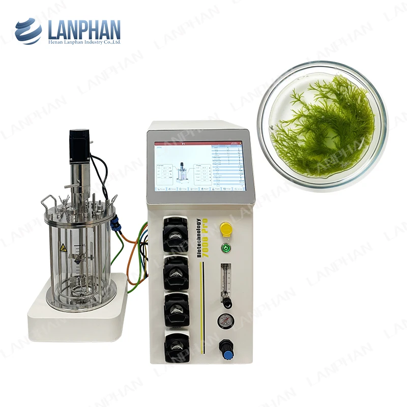 Lab Scale Glass Benchtop Yeast Protein Plant Mycelium Bioreactor