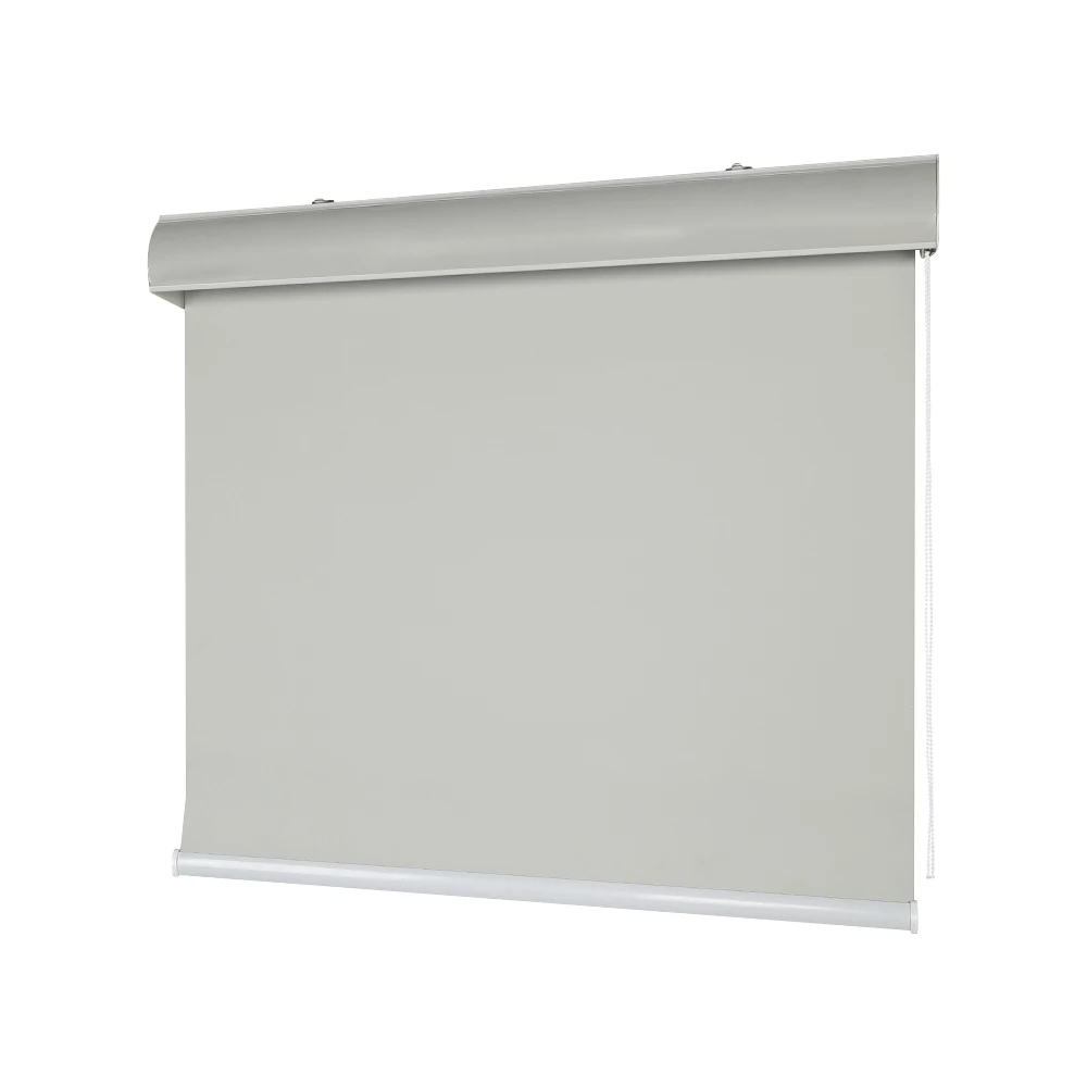 Wholesale Blinds Roller Shades Roller Manual Fabric Blackout Blinds Motorized Blinds