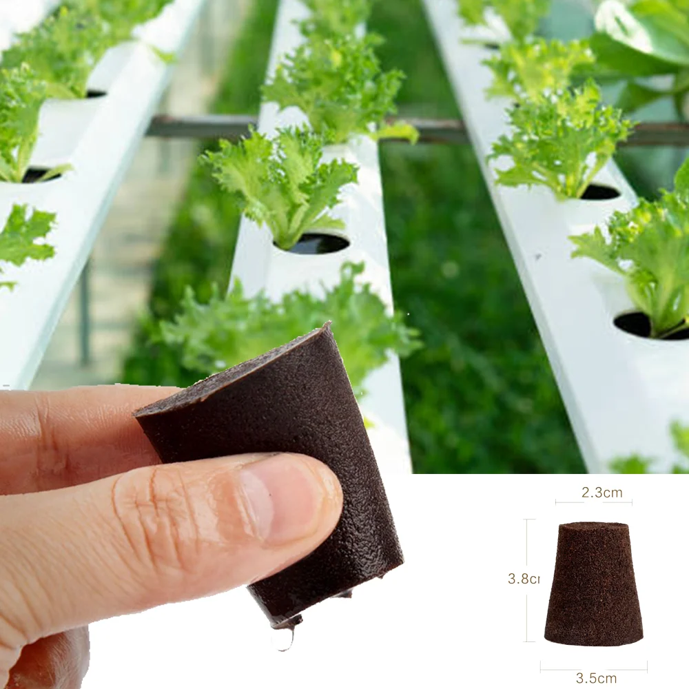 Vertical farm Lettuce Plant seed pot Nursery Pot Hydroponic Greenhouse Customized coco bran Grow sponge