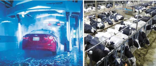 130lm/w  DImmable Waterproof IK10 szAMB Tri-proof LED Light with 0-10V/Dali/triac dimming for Poultry Farm