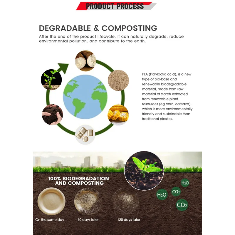 Plastic Biodegradable PLA Twin Screw Sheet Extruder Production Automatic Machine Line