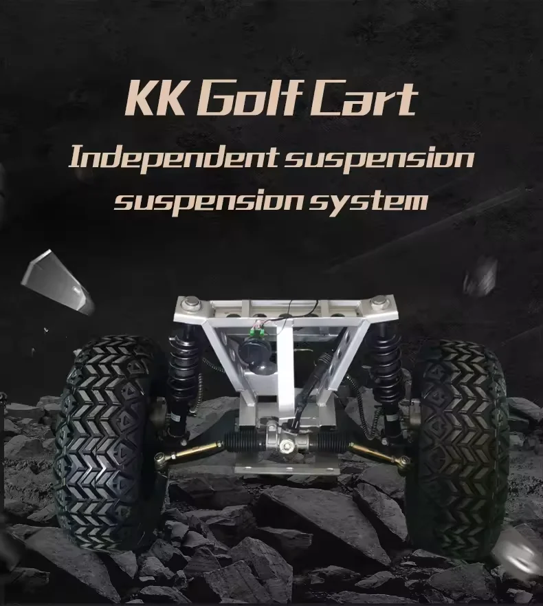 customizable  6 seats Golf Cart High quality  Chinese factory wholesale  golf carts with stereo