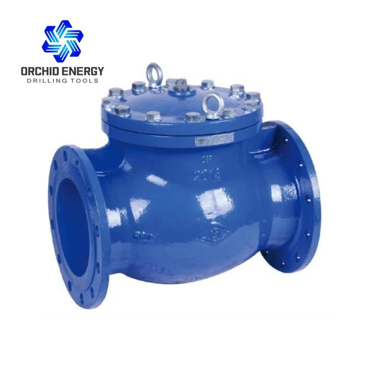 Oil and Gas Wellhead One Way Check Valve with Forging Carbon Steel and API 6A Complied