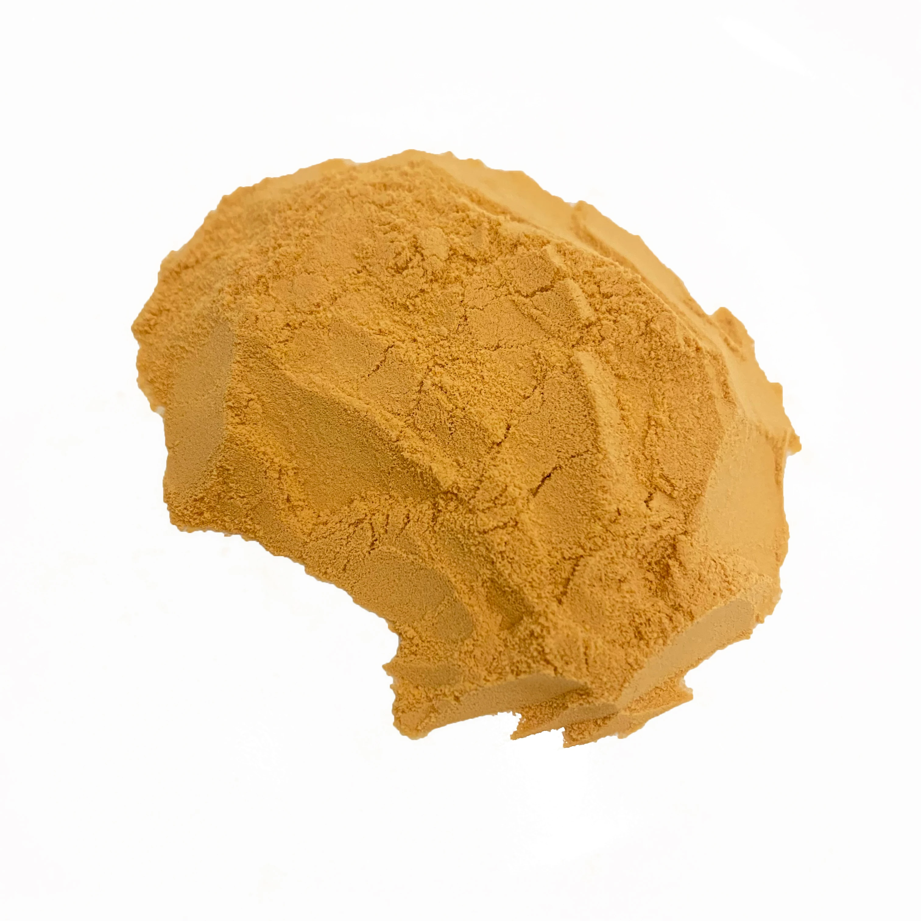 Organic health plant mushroom pure 30% capsule powder militaris cordyceps sinensis extract for sale