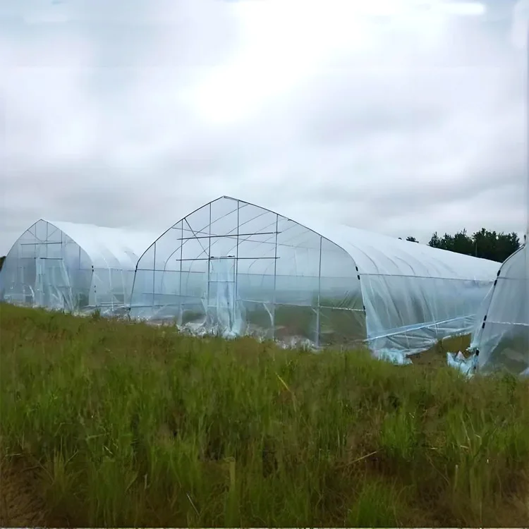 China Manufacturer Factory Direct Sale Algae-Proof Effect High Light Transmittance Diffusion Po Film Greenhouse Plastic Film