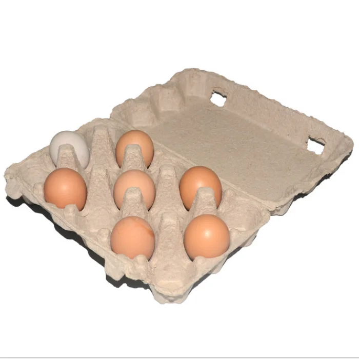 Paper Pulp Egg Carton Biodegradable Pulp Fiber Egg Tray Molded Paper Pulp Packaging Tray Carton Box