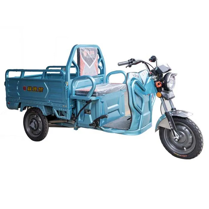 New Electric Powered Modern Cargo Tricycle 1000 watt Electric Tricycle