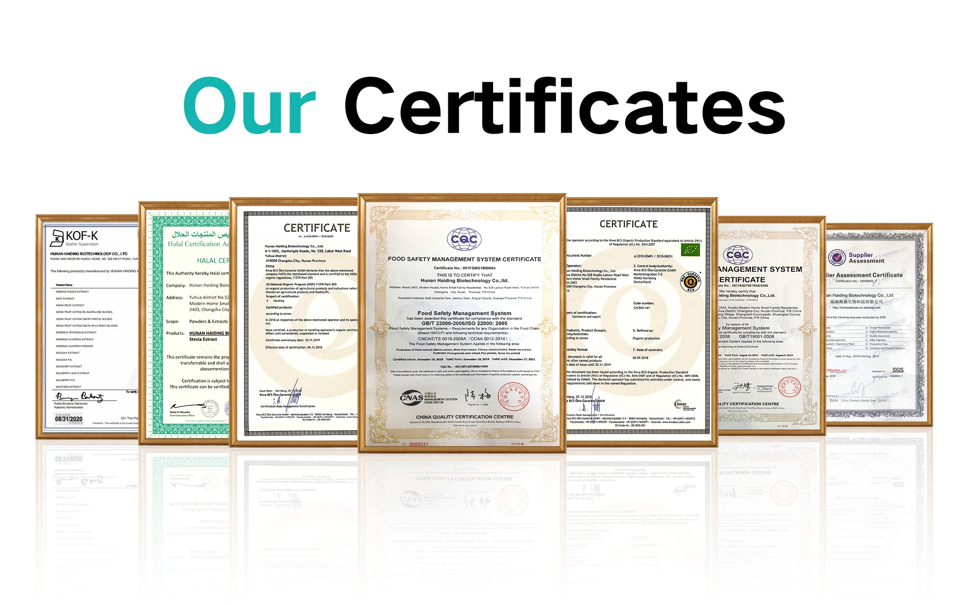 Water Soluble Coconut MCT Oil Extract Organic MCT Oil Powder Medium Chain Triglyceride oil palm