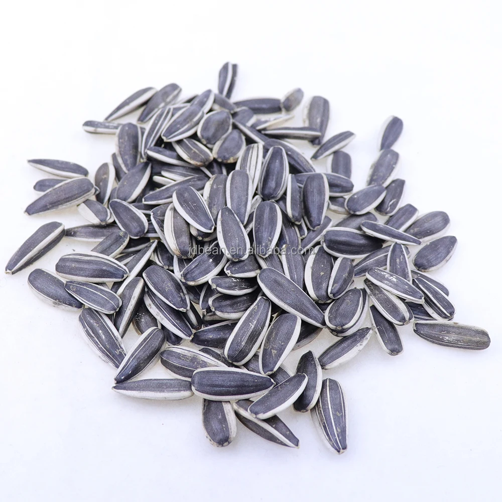 Wholesale Dried Organic Sunflowers Seeds 180 190 Sunflower Seed Price