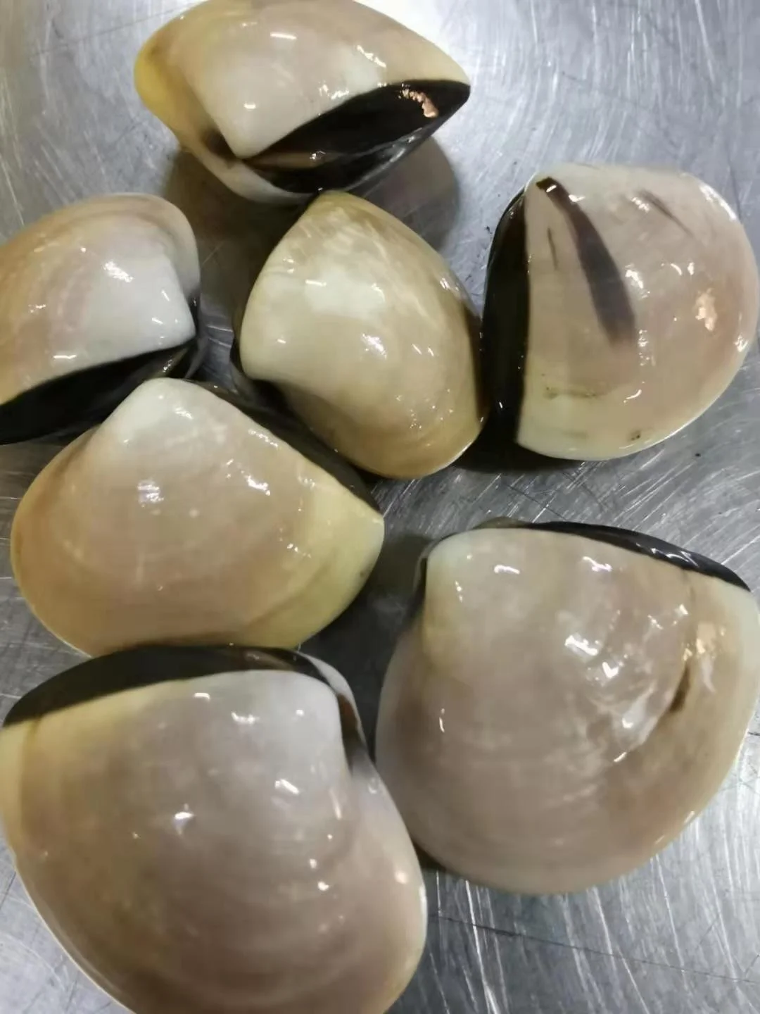 Indonesia Frozen White Clam/ Meat