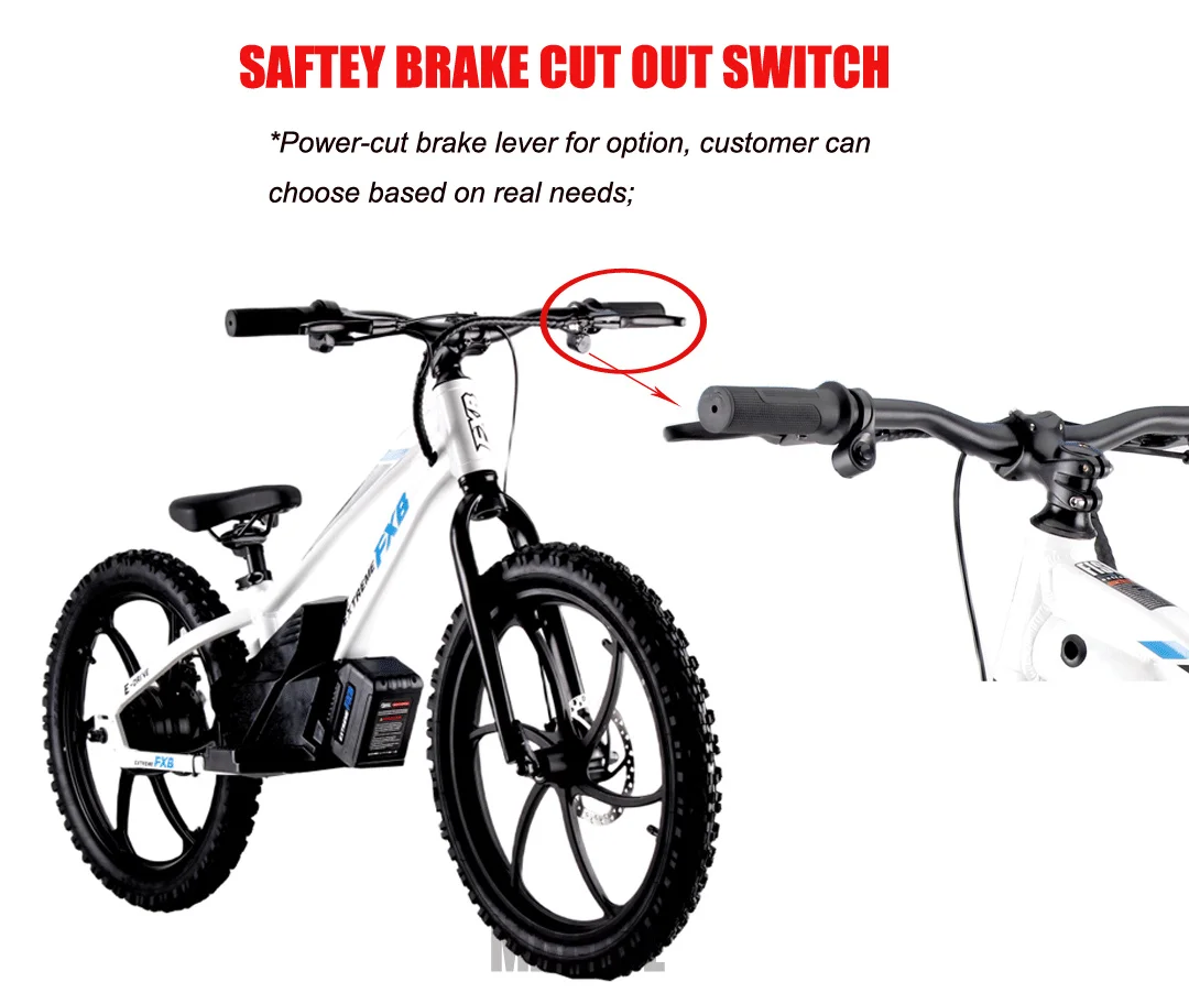 Hot Sell 20inch Lithium Battery 5.0ah 600W Electric balance bike FXB Style kids bike electric motorcycle