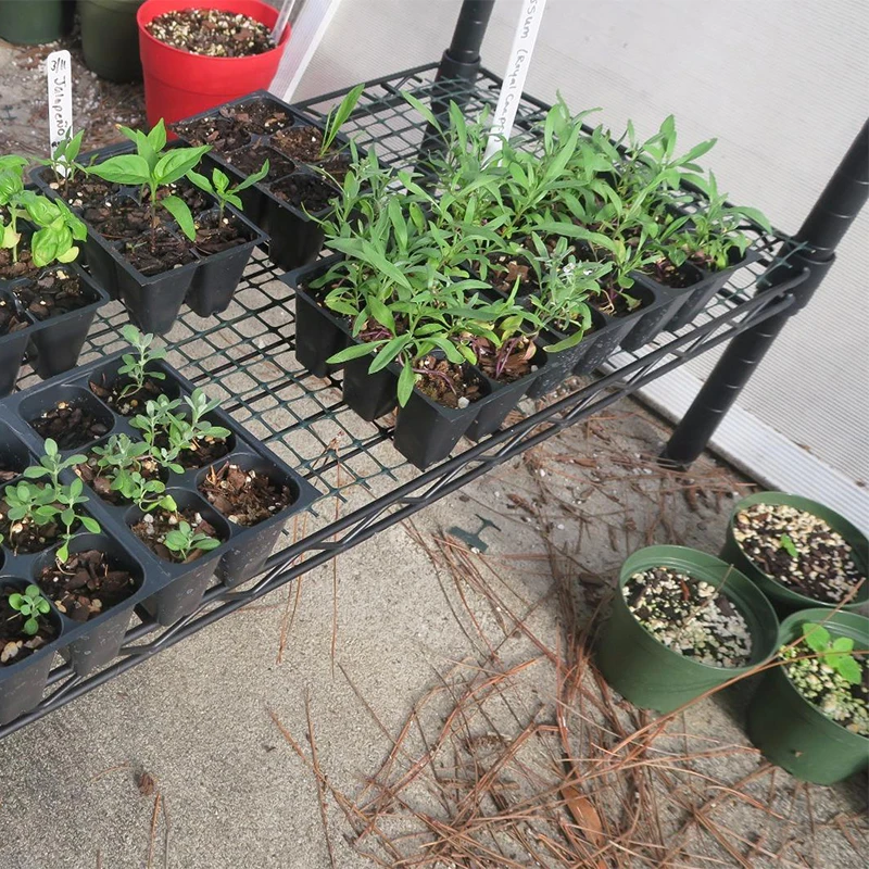 
10-Pack Seed Trays Plastic Vegetables Hydroponics Seedling Starter Trays 