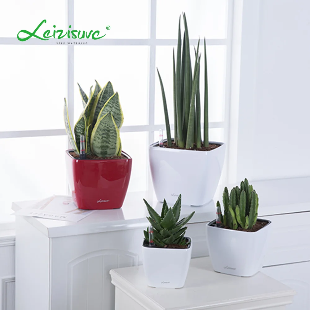 Western-Style Small Decorative Plastic Flowerpot Mini Lazy Herb and Succulent Plant Pot for Home Garden or Outdoor Living Room