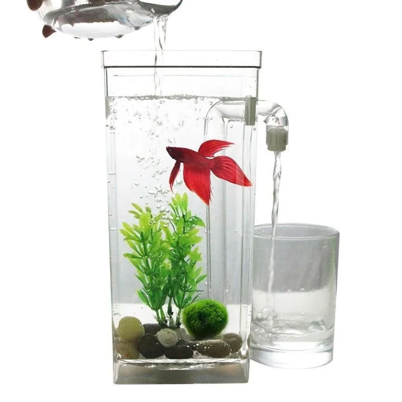 Маленький настольный самоочищающийся аквариум My fun fish бесплатная замена уникальный пластиковый для рыб от поставщика мини-ленивая Рыба сельского