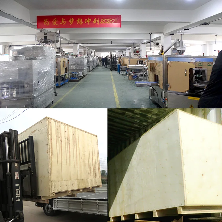 Fully Automatic Horizontal Packaging Premade Pouch Cherry Tomato doypack Packing Machine