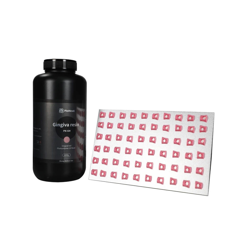 Pionext PN-GM  photopolymer resin for dental  tooth model resin dental 3d resin gingiva