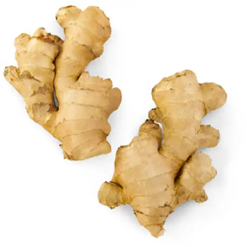 New 2023 Crop - Vietnam Fresh Ginger, Ginger Powder, Dry Ginger - Vietnam Spices - Ginger Exporter - Ready For Delivery