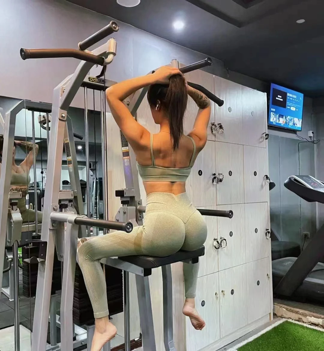 Промышленный Стандартный силовой аппарат Dip Chin Training Machine