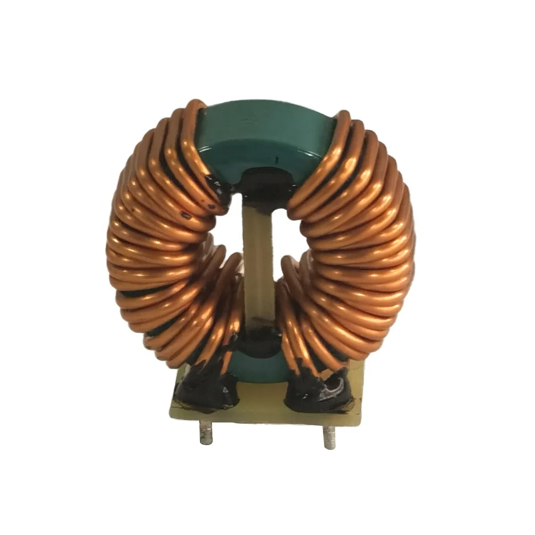 Ruisi RoHS Certification Toroidal Ferrite Core Coil for Switching Regulator Inductors Common Mode Choke