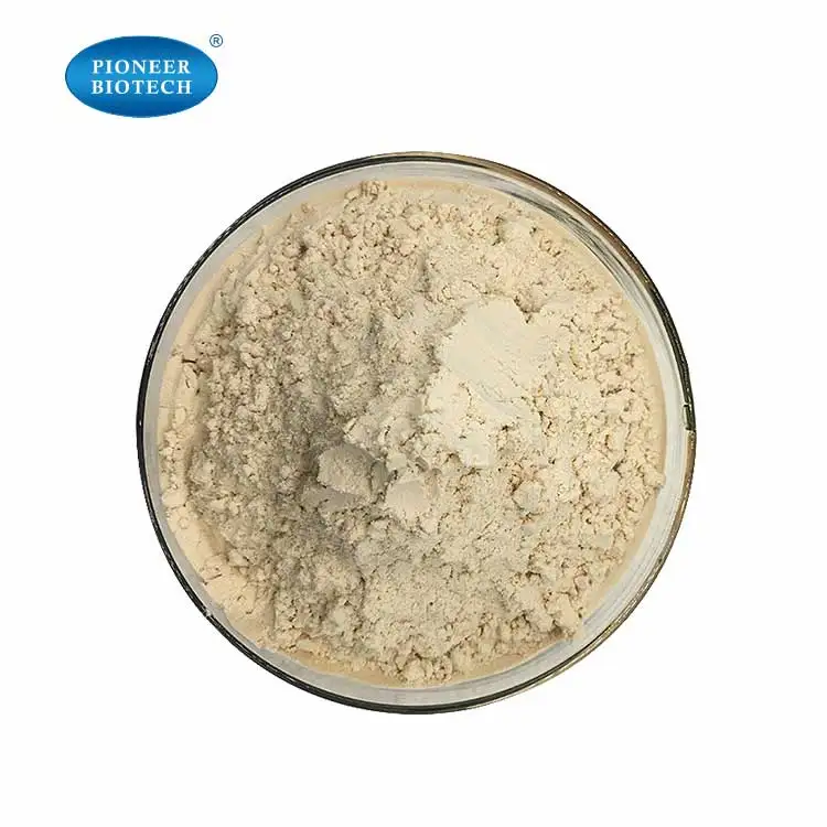 nature herbal GENTIAN(GENTIANA LUTEA) EXTRACT