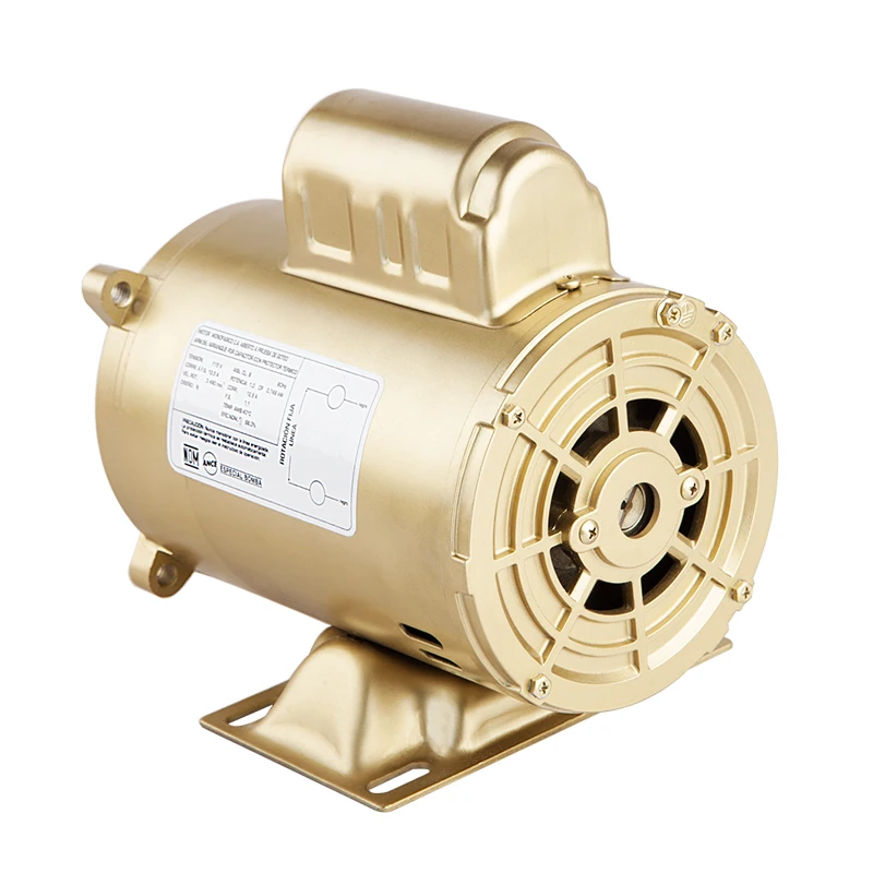 1/2hp 1hp 2hp 3hp ODP dual capacitor 115/230V Swimming Pool Pump Motor for Pool Filter Motor ST1302 B2661 B2844