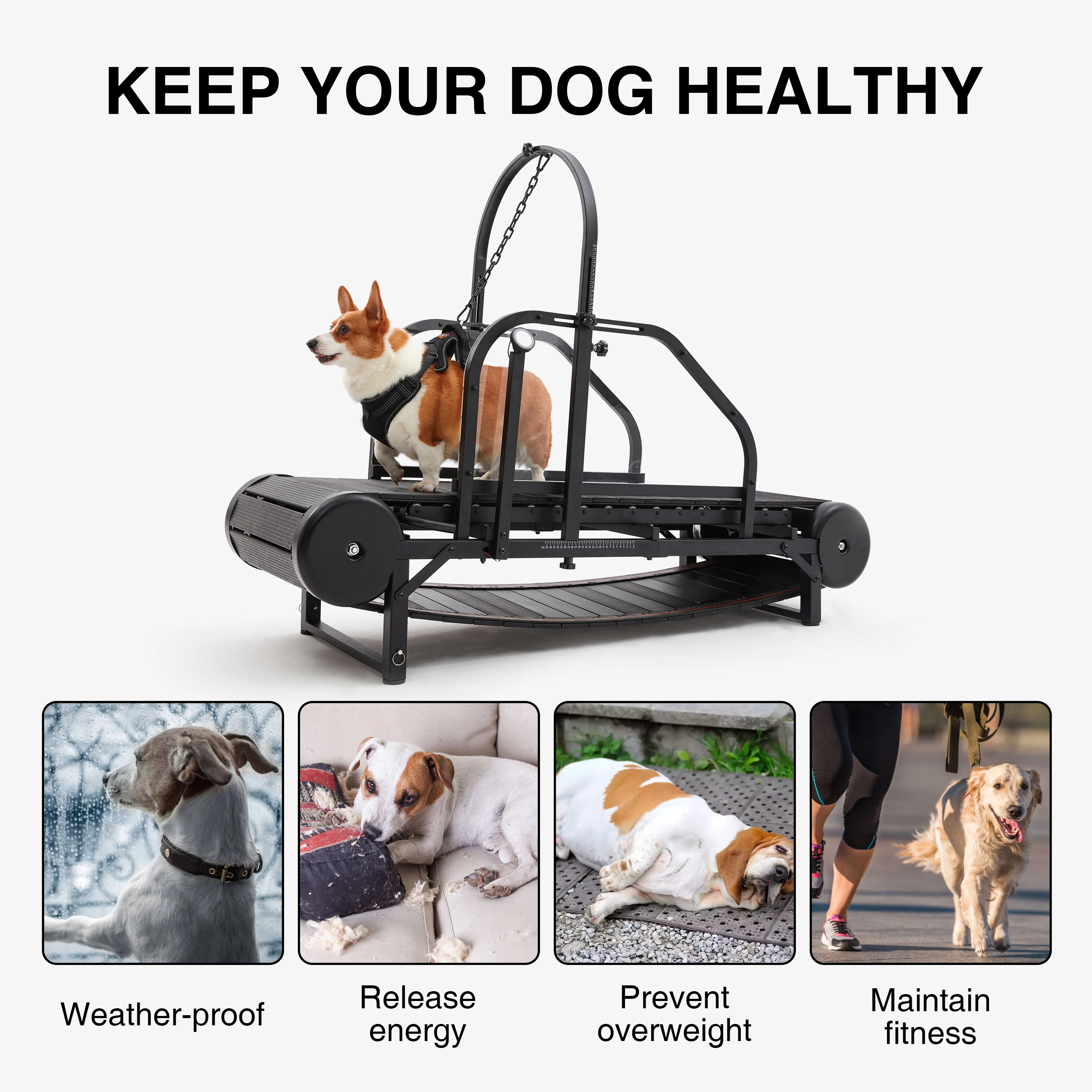 Pet Treadmill Dog Sport Equipment Non-electric Dogs Training Machine Doggy Rehabilitation Exercise Walking Slatmill