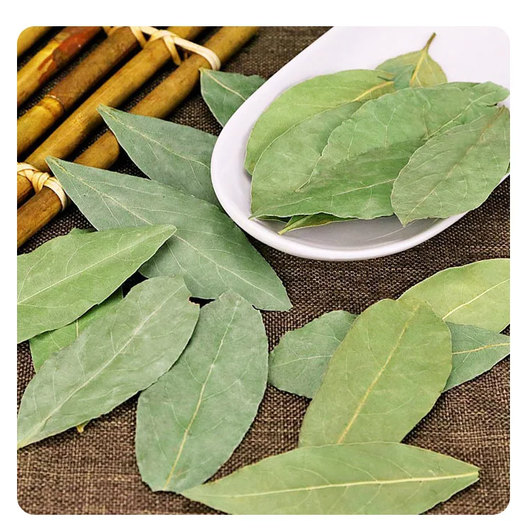 Premium Quality  Laurel Bay Leaves Special Green