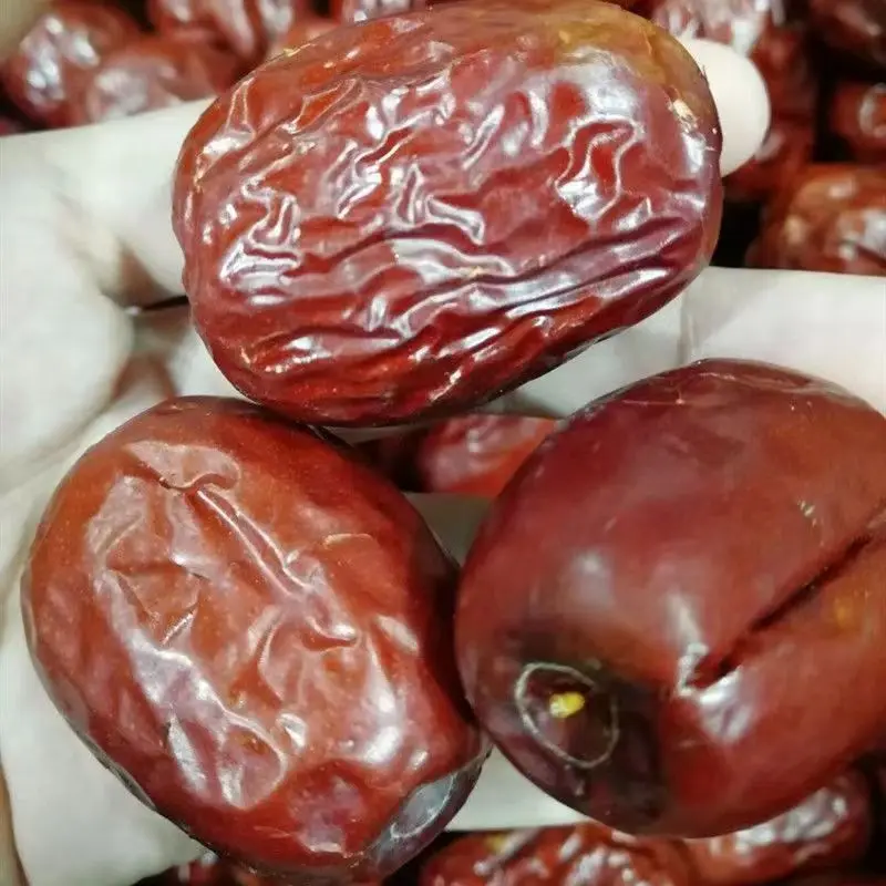 Ziziphus Jujube Organic Dried Date Dry Red Dates Exporter Factory