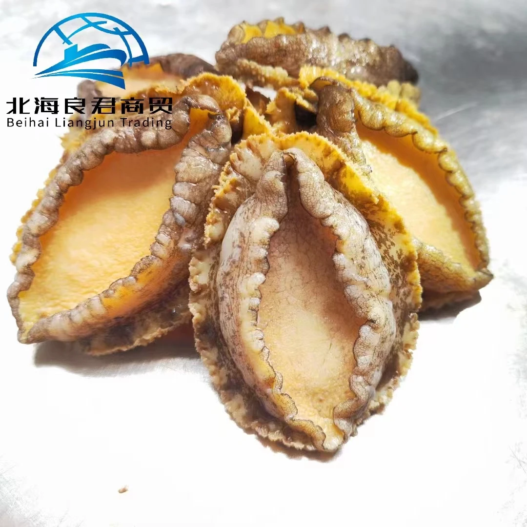 Wholesale new seafood products from China nutritious and delicious abalone food frozen seasonal plate haliotis discus hannai