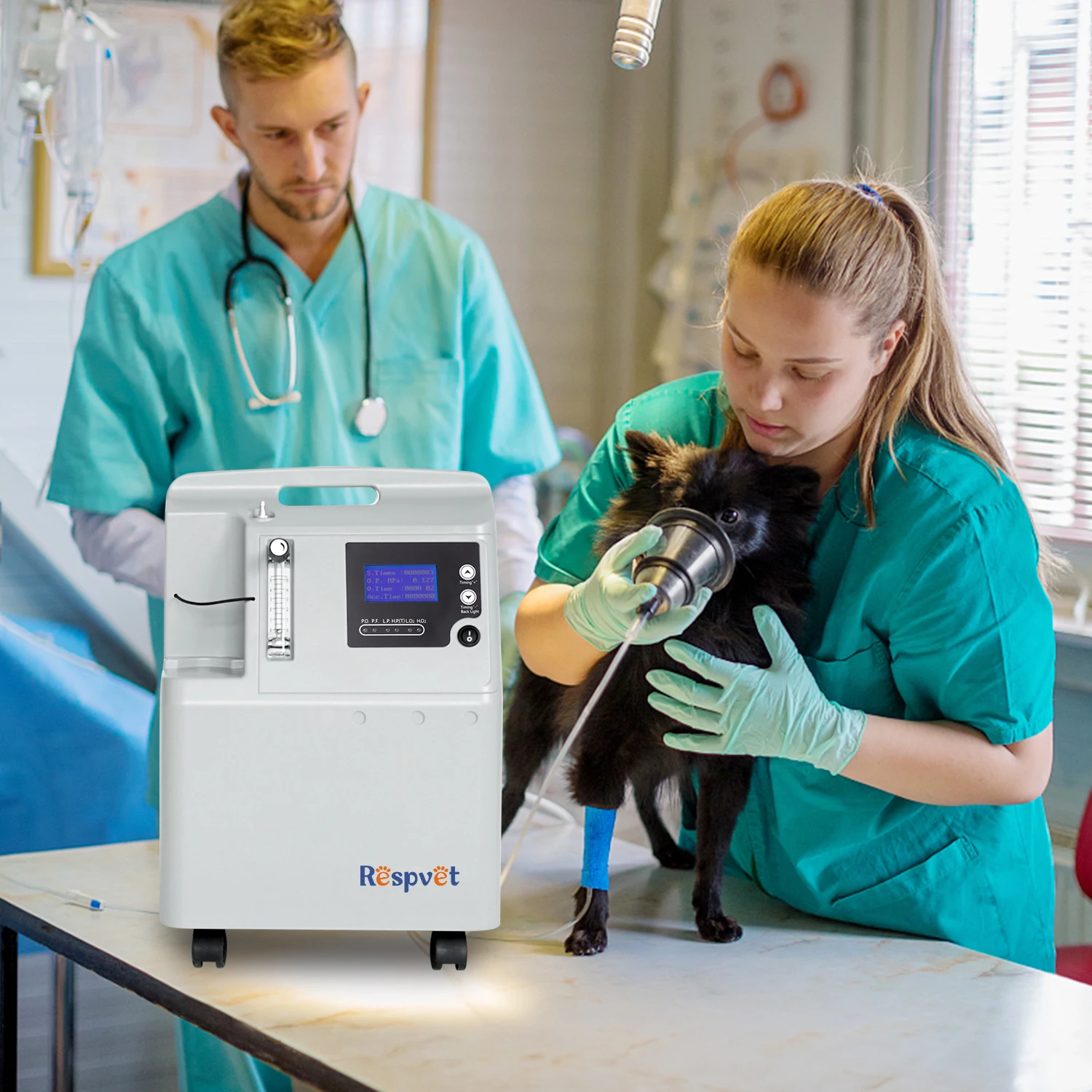 Pet Clinic Oxygen Therapy 5L Psa Veterinary Medical Oxygen Concentrators Vet Oxygen Generator