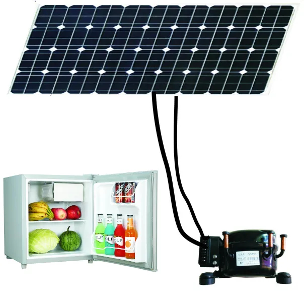 Solar Refrigerator Mini Bar Cooler Fridge Freezer 12V DC 50L