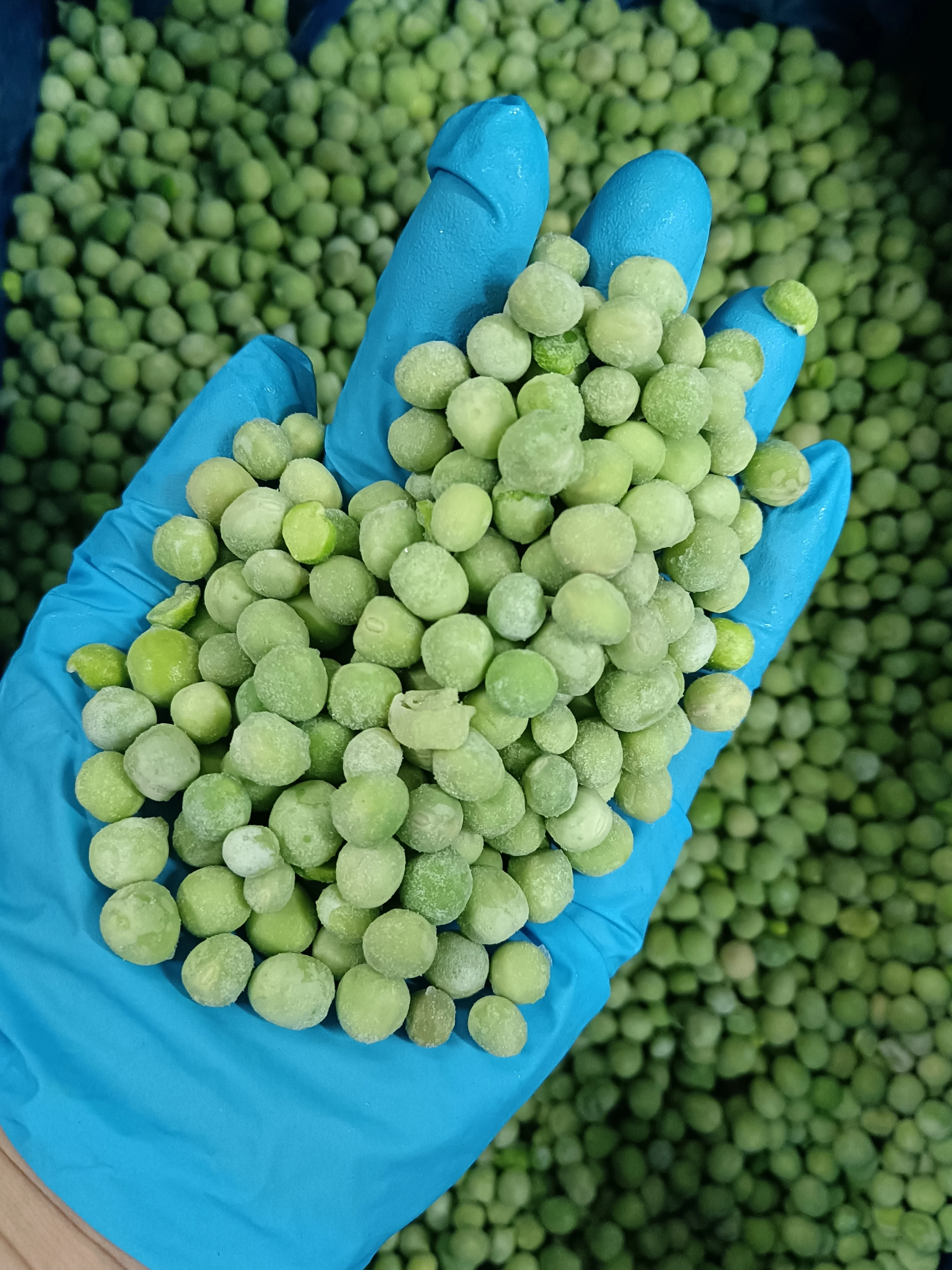 IQF wholesale price high quality seasoning vegetables beans frozen green peas for sale