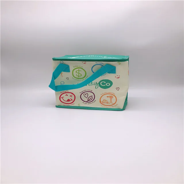 Customized Good Quality PP Woven Material Wine Cooler Bag for Shopping