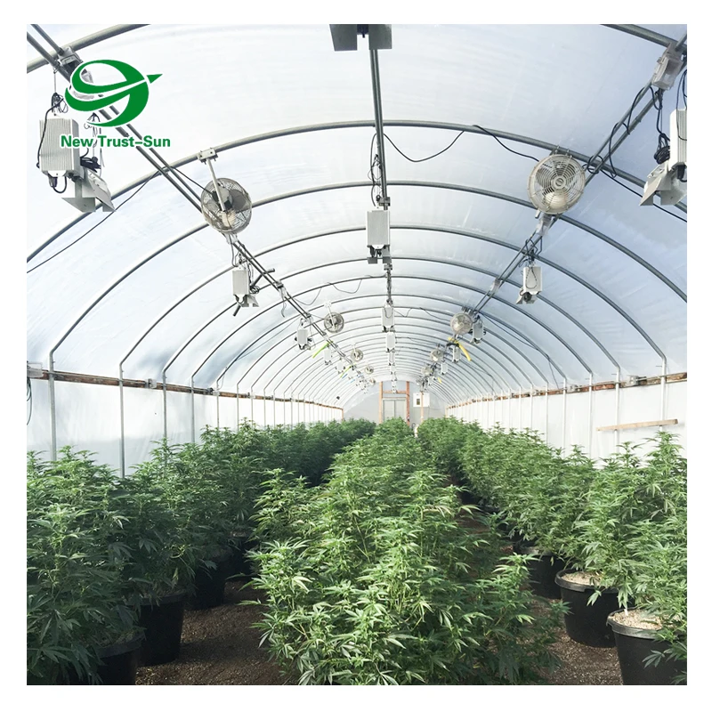 
Low Cost High Quality Tunnel Commercial Used Aquaponic Single-span Greenhouses 