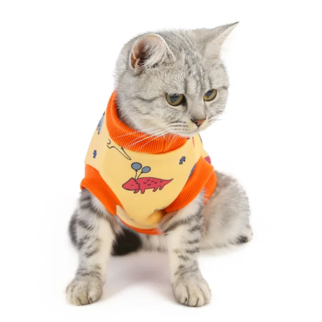 Custom Print Cute Autumn Winter Pet Clothes Cartoon Pet Clothing Shirt Wholesale Dog Clothes Dog Accessories