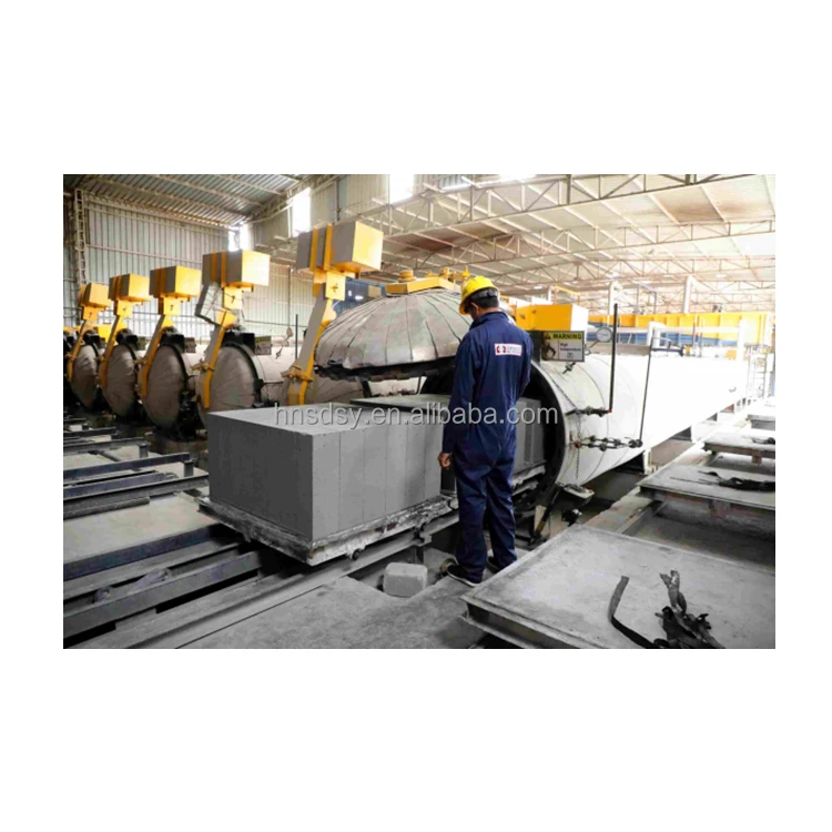 German technology AAC aerated Autoclaved Lightweight Concrete equipment making machinery production line plant ALC block machine