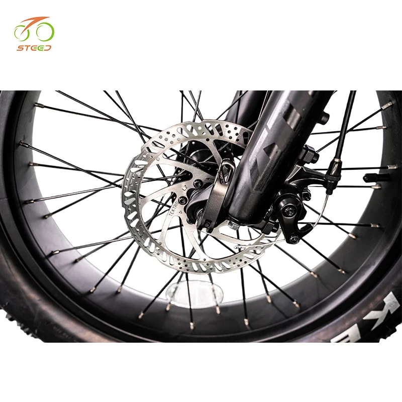 Steed mid drive motor ebike battery pack  electric scooter ebike eu warehouse